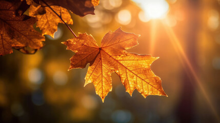 Wall Mural - Autumn leaves on the sun and blurred trees for fall background. Generative Ai