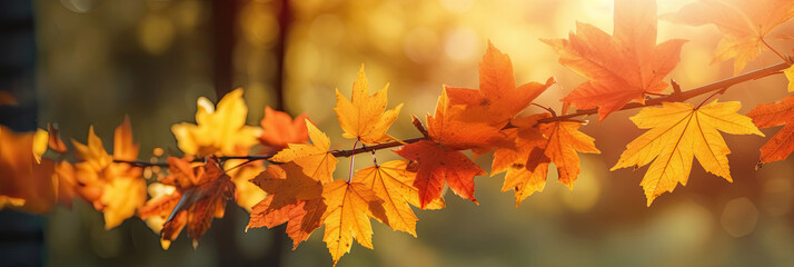 Wall Mural - Autumn leaves on the sun and blurred trees for fall background. Generative Ai