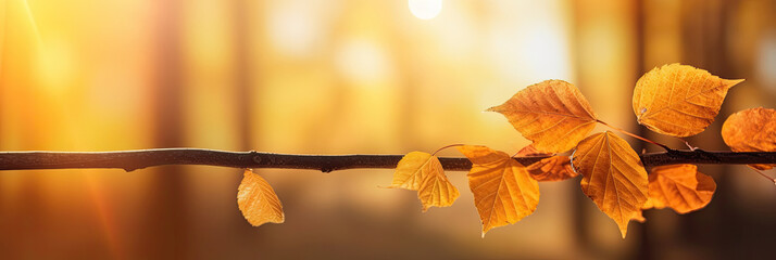 Wall Mural - Autumn leaves on the sun and blurred trees for fall background. Generative Ai