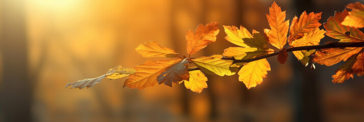Wall Mural - Autumn leaves on the sun and blurred trees for fall background. Generative Ai
