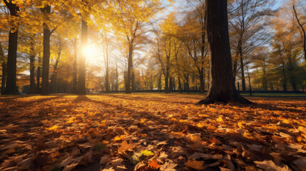 Wall Mural - Autumn, Golden autumn scene in a park, with falling leaves, the sun shining through the trees and blue sky. morning sunlight. Generative Ai