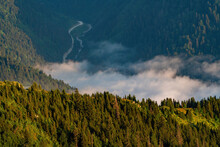 The Mist Is Composed Of Evergreen Green Silhouettes On A Forested Mountainside In A Low Valley. In The Background Is A Dirt Road And A Parallel Stream.