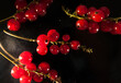 red currant tassels on a dark background