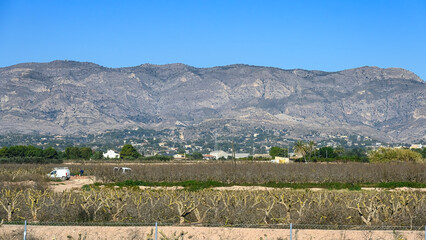 Wall Mural - semi-arid landscape in alicante province, spain