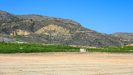 Wall Mural - semi-arid landscape in alicante province, spain