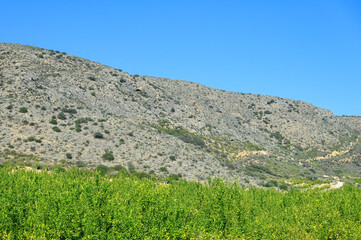 Wall Mural - semi-arid landscape in alicante province, spain