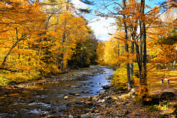 Wall Mural - Beautiful autumn colors along a river near Stowe, Vermont, USA