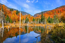 Beautiful Autumn Colors Along A Lake With Reflections In The Green Mountains Countryside Of Vermont, USA