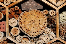 Closeup Shot Of An Insect Or Bee Hotel, Made Of Logs With Holes, Bricks And Wood 
