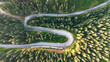 Journey on the road that crosses the fir forest. Road and curves seen from above.
