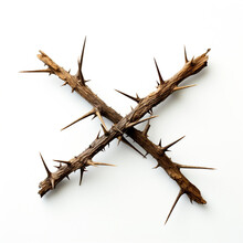 Cross Of Thorns