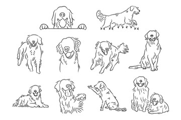 Set of golden retriever dogs hand drawn line art. Outline sketch doodle cartoon of dog labrador vector illustration