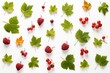 Floral pattern of viburnum red fruits hops green