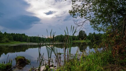 Wall Mural - Beautiful Landscape In Sunny Spring Day Timelapse moving over bog lake in nature in early summer morning. Cloudy Sky With Clouds. Natural Background. Time-lapse 4K, hyperlapse, camera movement