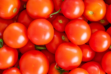 Poster - home tomatoes, different varieties from home garden - real photo