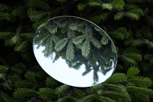 Round Mirror Among Fir Branches Reflecting Beautiful Sky And Twigs