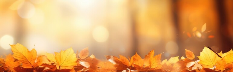 With orange leaves on a blurred background, this is a colorful universal natural autumn panorama for design.