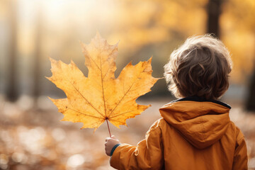 Wall Mural - Back view of a boy holding autumn maple leaf in a park