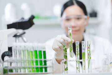 Wall Mural - plant in medical pharmacy science research at chemical medicine laboratory for pharmaceutical indust