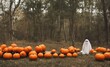 pumpkins and ghost on Halloween  in a field vintage 