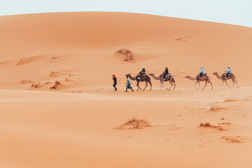 Wall Mural - Camel trek with tourists through the sahara desert in Merzouga, Morocco