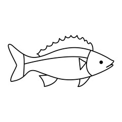 Wall Mural - Continuous One line drawing of big fish and single line vector art illustration
