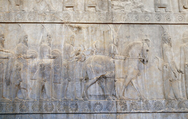 Poster - Ancient wall with bas-relief with assyrian foreign ambassadors with gifts and donations, Persepolis, Iran