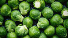 Green Brussels Sprouts With Waterdrops