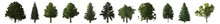 Collection Of Various Evergreen Trees, Including Maple,oak, Pine, Apple, Etc., Isolated On A Transparent Background.