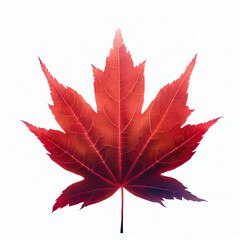 Wall Mural - Red maple leaf on a white background. Generative AI 