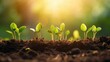 © mg photo - Seedlings are growing on soil in the morning sunlight that is shining, ecology concept created with Generative AI