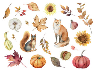 Wall Mural - Watercolor vector autumn set with fox, squirrel, pumpkins and foliage.