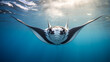 a graceful manta ray gliding effortlessly through the crystal-clear waters of the ocean, its wide wingspan and peaceful demeanor captivating to behold. 