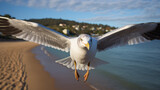 Fototapeta Sport - a carefree seagull gliding on the sea breeze, its outstretched wings capturing the essence of coastal freedom. 