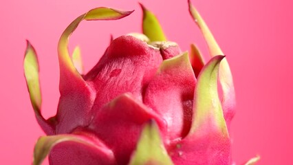 Canvas Print - Dragon fruit, Pitahaya, Pitaya exotic asian vegan juicy fruits close up. Rotating over pink background. Slow motion. Healthy vegan Thai food 