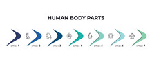 Men Leg, Human Breast, Human Ribs, E Side View, Mouth Open, Face Of A Woman Outline Icons. Infographic Template.