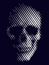 Skull On A Dark Background