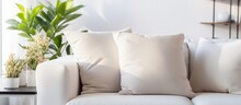 House Beautiful Ideas Concept Living Room Interior Design Closeup Soft Beige White Sofa Pillow With Daylight And Tree Plant Pot On Coffee Table Decorating Cosy Comfort Home Interior Background
