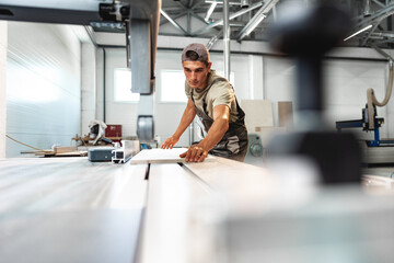 Wall Mural - Young carpenter cutting a piece of wood in using a circular saw in furniture factory