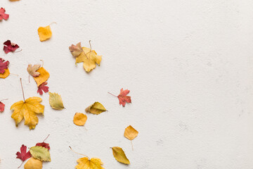 Wall Mural - autumn composition. pattern made of dried leaves and other design accessories on table. flat lay, to