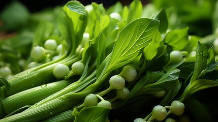 Poster - fresh green onions