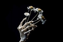 The Skeleton Of A Human Hand Holds Flowers On A Black Background. Black Background, Human Brush, White Flowers, Generated By Artificial Intelligence