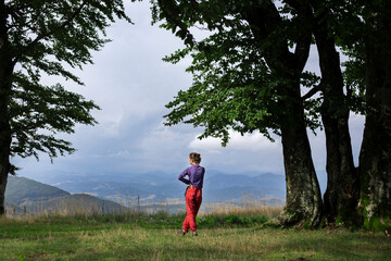 Wall Mural - girl tourist on the background of a mountain landscape