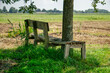 © Frans - Tienhoven, The Netherlands, August 23, 2023: old and weathered wooden bench with a tree growing through it in a polder landscapen