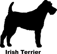 Irish Terrier Dog Silhouette Dog Breeds Animals Pet Breeds Silhouette