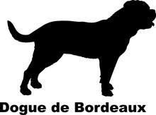 Dogue De Bordeaux Dog Silhouette Dog Breeds Animals Pet Breeds Silhouette