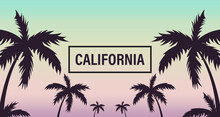 Summer Sunset Beach. Palm Tree Silhouette. Los Angeles, California, Hollywood. Design Of Social Media, Banner, Poster, Newsletter, Advertisement, Leaflet, Placard, Wallpaper. Vector Illustration