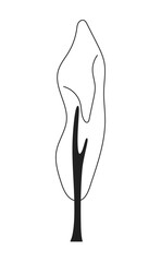 Fototapete - Single park tree monochrome flat vector object. Tall decorative plant. Editable black and white thin line icon. Simple cartoon clip art spot illustration for web graphic design