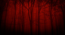 Silhouettes Of Trees On A Red Background. Horror Or Ecological Concept. Red Light And Silhouette Of Trees.