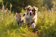 © JKLoma - Cheerful of furry friends cat and dog walking in a summer meadow.genearative ai
